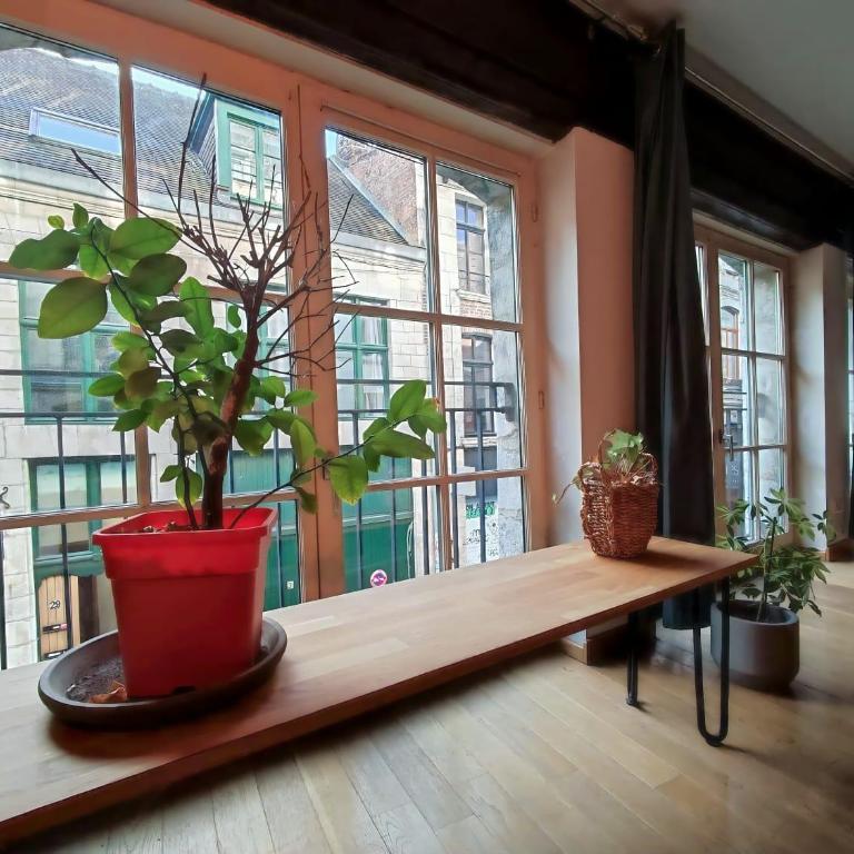 La Cachette du Vieux-Lille, Rétroprojecteur, Wifi - Apartment mit 1 Schlafzimmer - 9