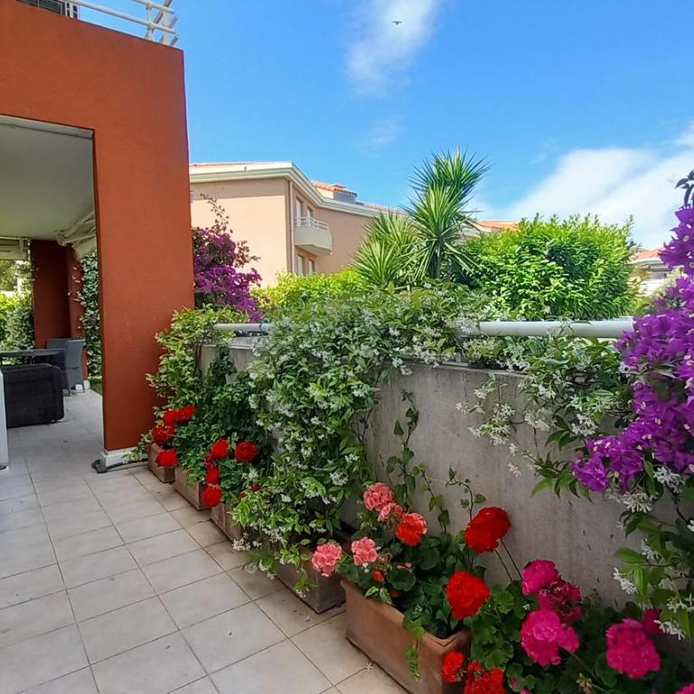 Juan Flore - Three-Bedroom Apartment - 27