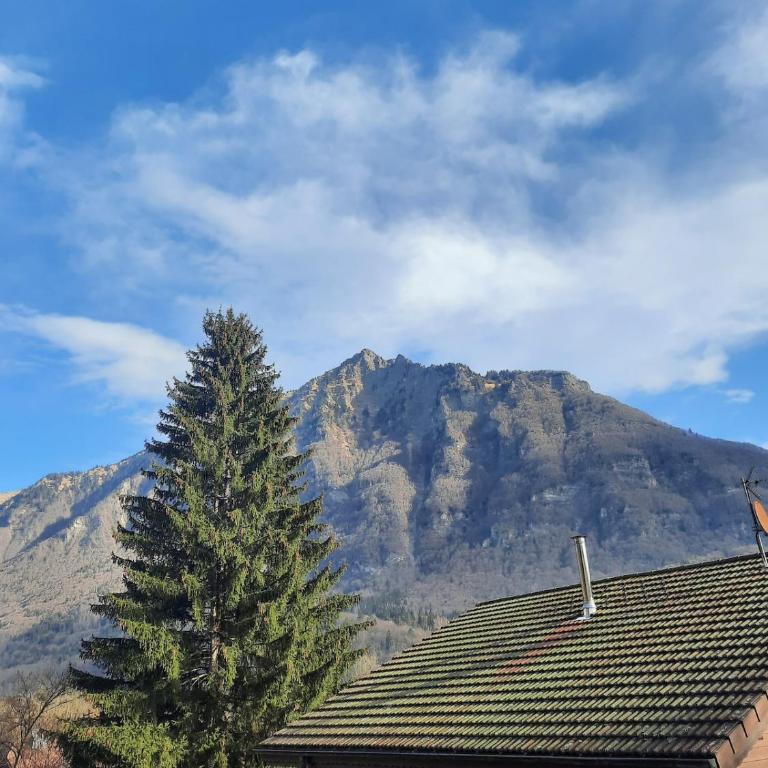 Chalet mayou - Chalet 1 Chambre - 1