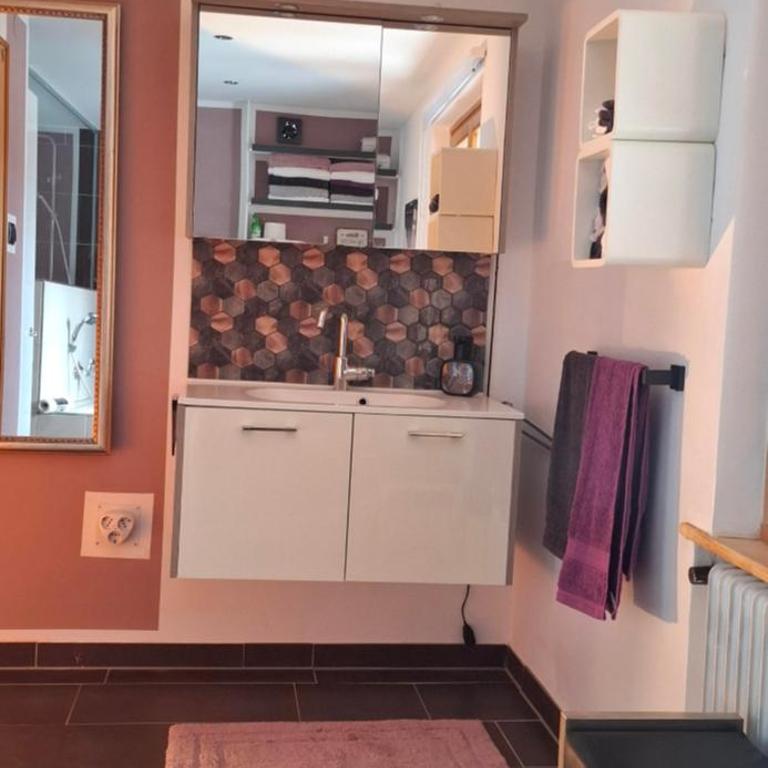 Conny's Lodge - Apartamento de 1 dormitorio con ducha - 9
