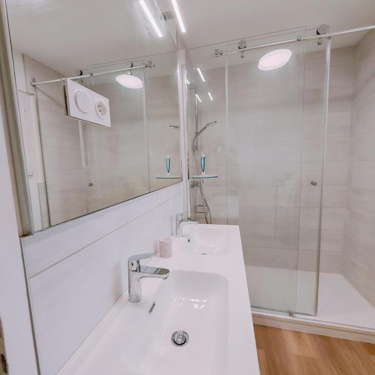 Le Grand Central du Léman centre ville - Appartement - 14
