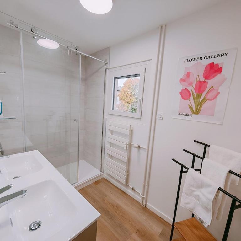 Le Grand Central du Léman centre ville - Appartement - 25