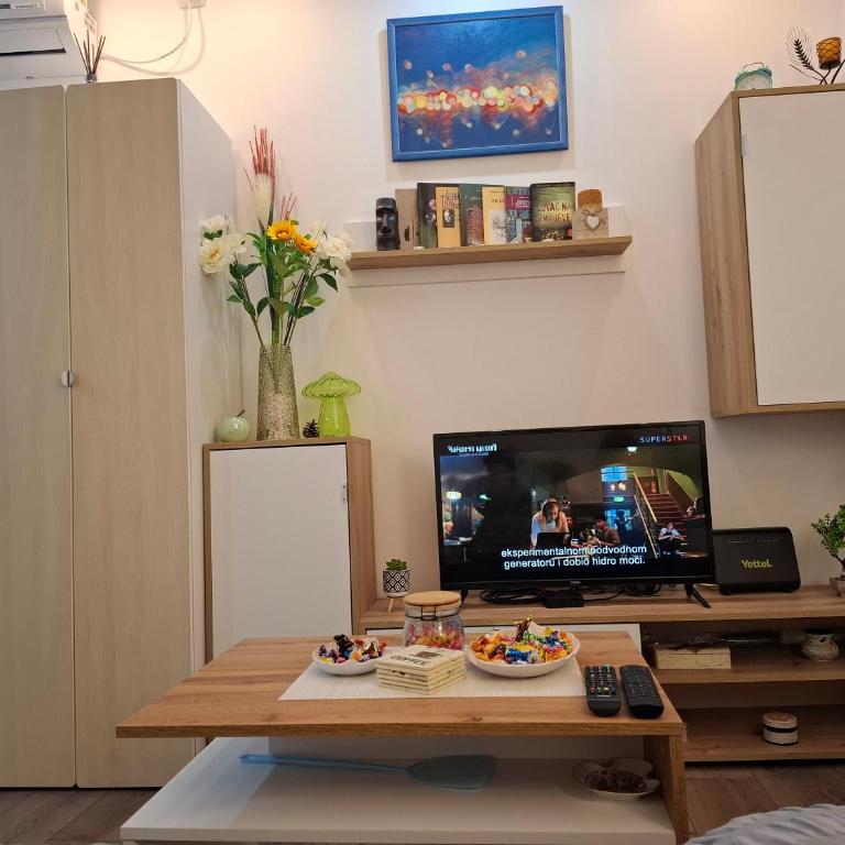 Wood Studio - One-Bedroom Apartment - 8