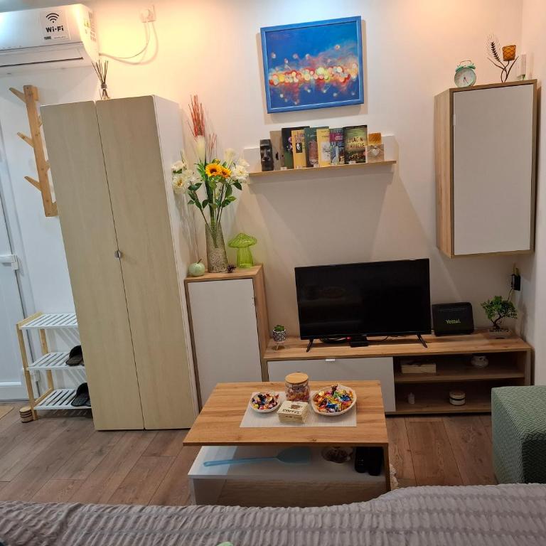 Wood Studio - One-Bedroom Apartment - 10
