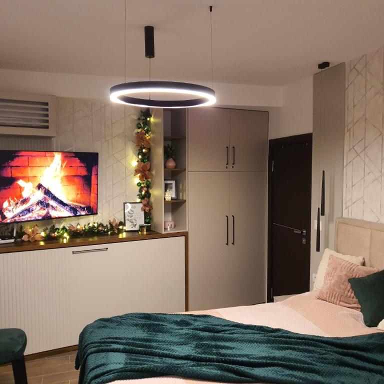 Apartman Trijumf Lux - One-Bedroom Apartment with City View - 4