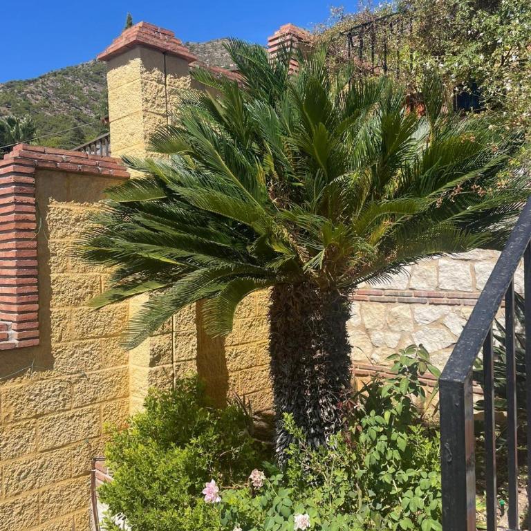 Villa Mari Prestige - Villa de 1 dormitorio - 21