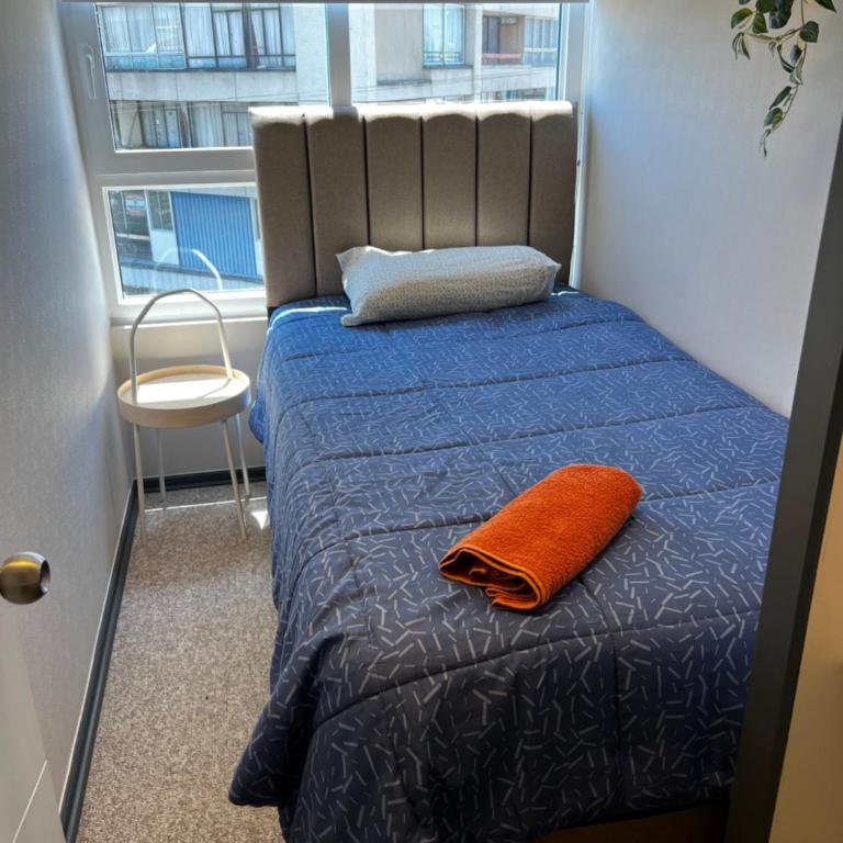 Nuevo departamento rancagua - Apartment - 3