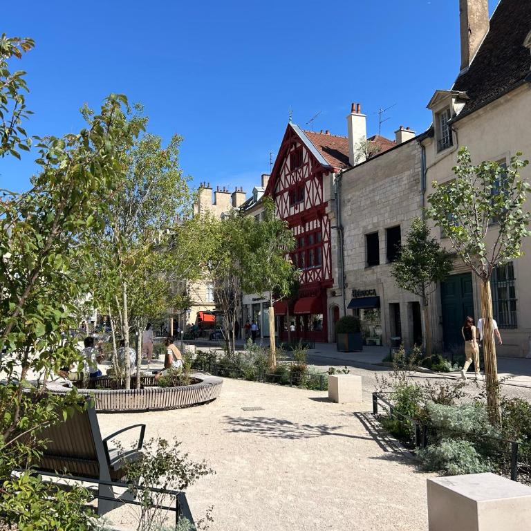 La Diligence - Logement climatisé au coeur de Dijon - Apartment mit 1 Schlafzimmer - 10
