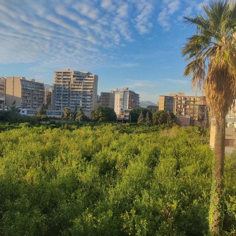 C'era una Volta a Palermo - Appartamento con 1 Camera da Letto - 17