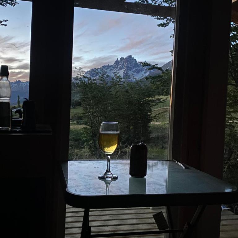 Cabaña Huemul - One-Bedroom Apartment - 2