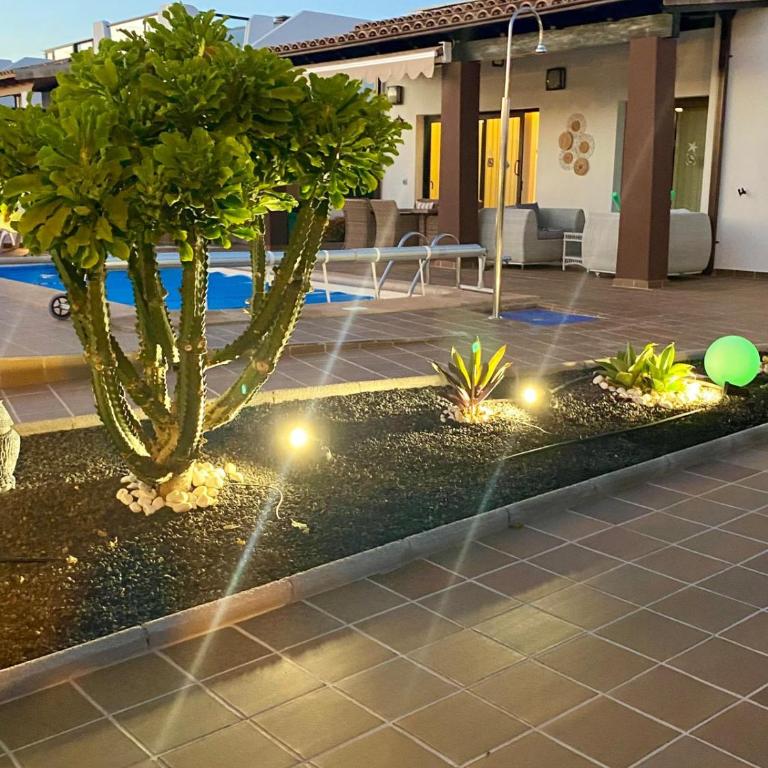 VILLA DREAMS - VILLAS LA ESTANCIA - - Superior Villa - 59