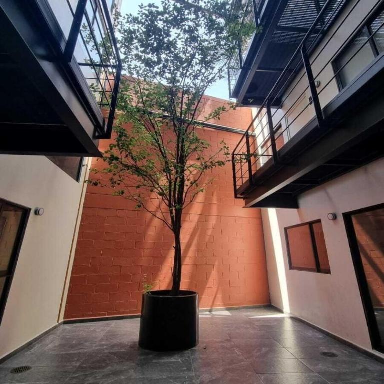 Minimalist loft Reforma 23 - Two-Bedroom Apartment - 16