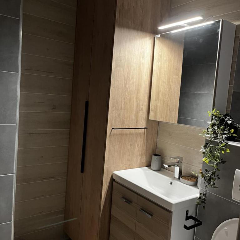 Divčibarski kutak - Apartman sa 1 Spavaćom Sobom - 14