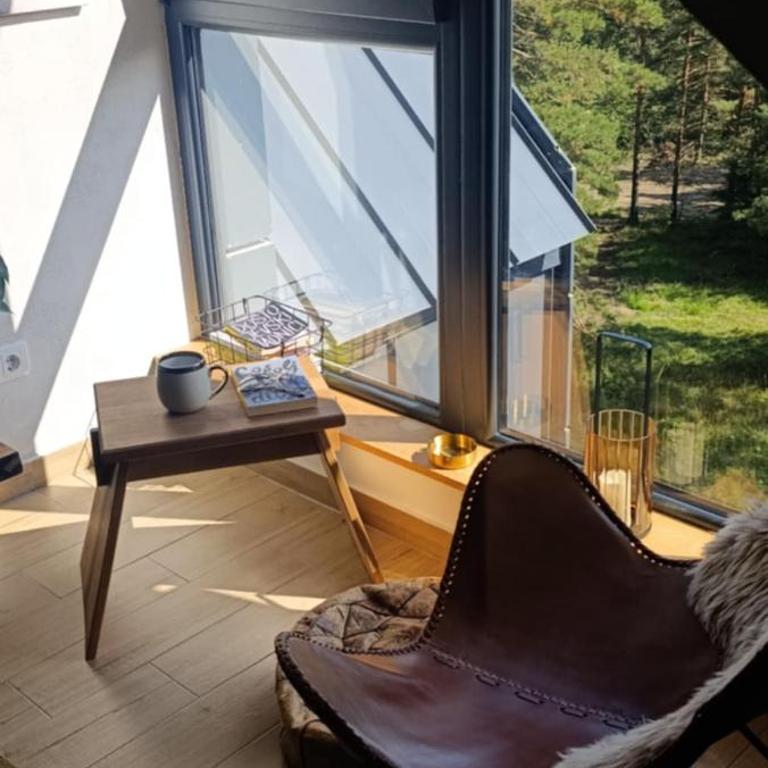 Divčibarski kutak - Apartman sa 1 Spavaćom Sobom - 9