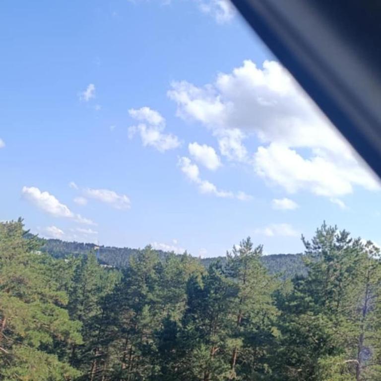Divčibarski kutak - Apartman sa 1 Spavaćom Sobom - 3