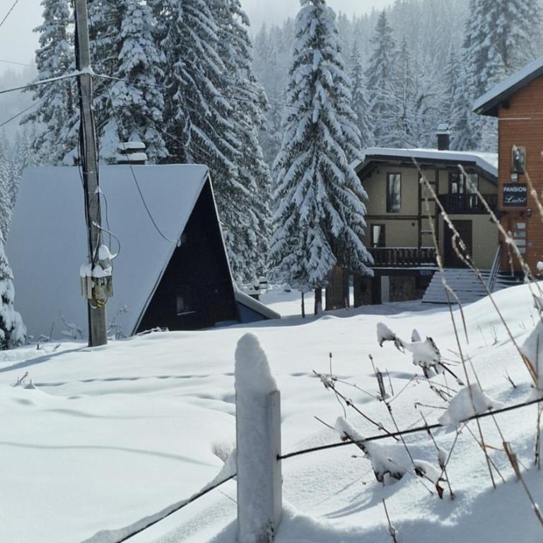 Apartmani natural Jahorina - Two-Bedroom Deluxe Apartment with Balcony - 5