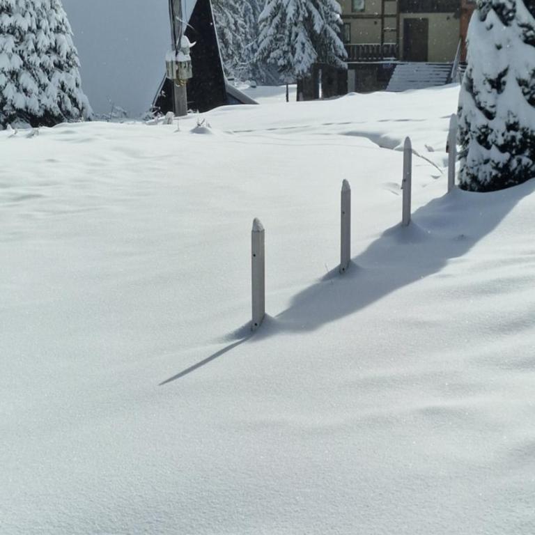 Apartmani natural Jahorina - Two-Bedroom Apartment - 2