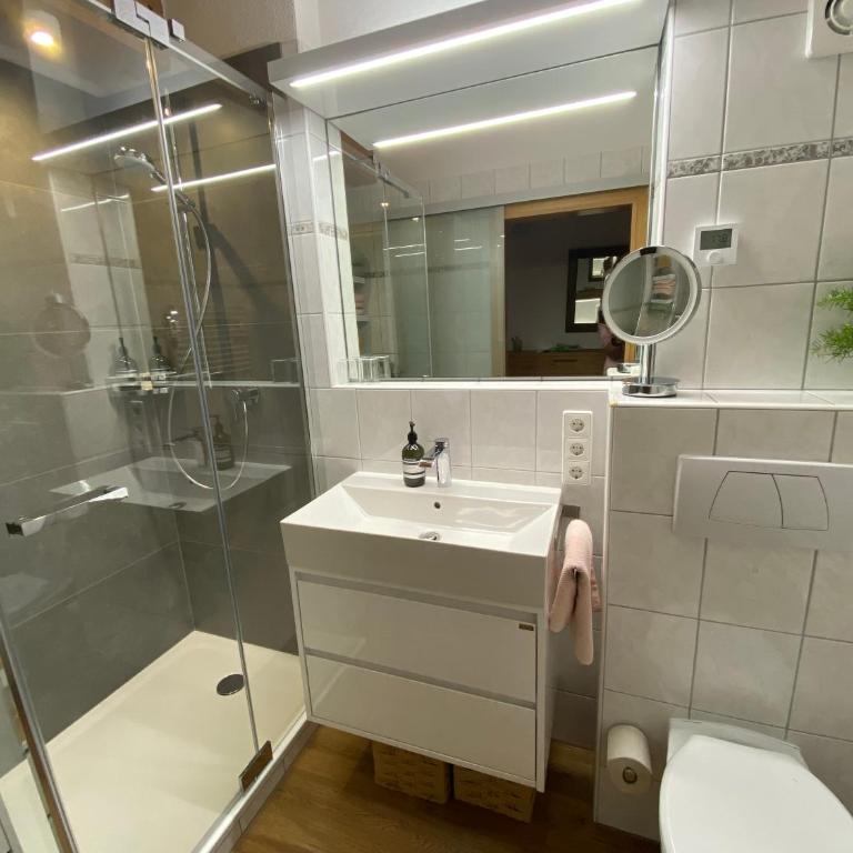Ferienwohnung Freiberg - Apartment mit 1 Schlafzimmer - 11