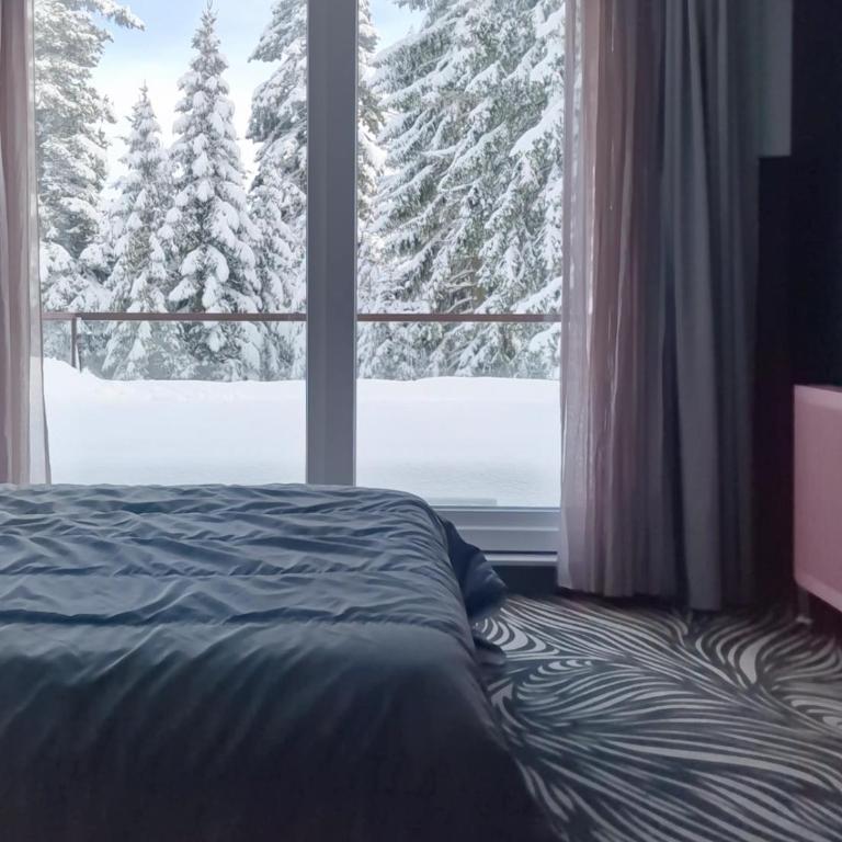 Apartmani natural Jahorina - Two-Bedroom Deluxe Apartment with Balcony - 19