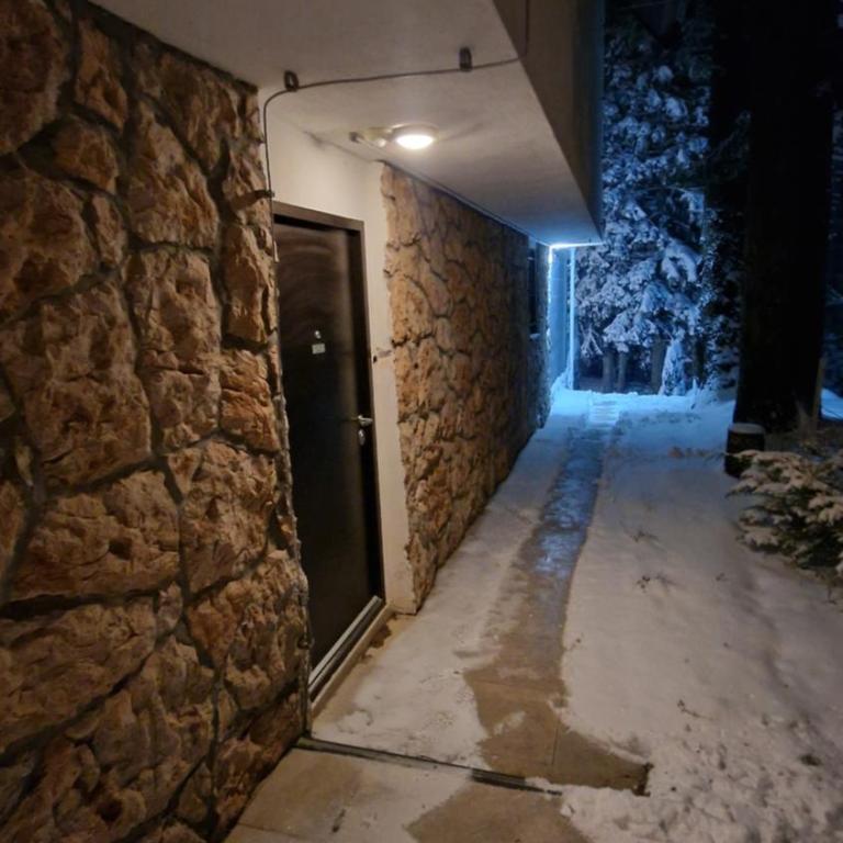 Apartmani natural Jahorina - Two-Bedroom Deluxe Apartment with Balcony - 10