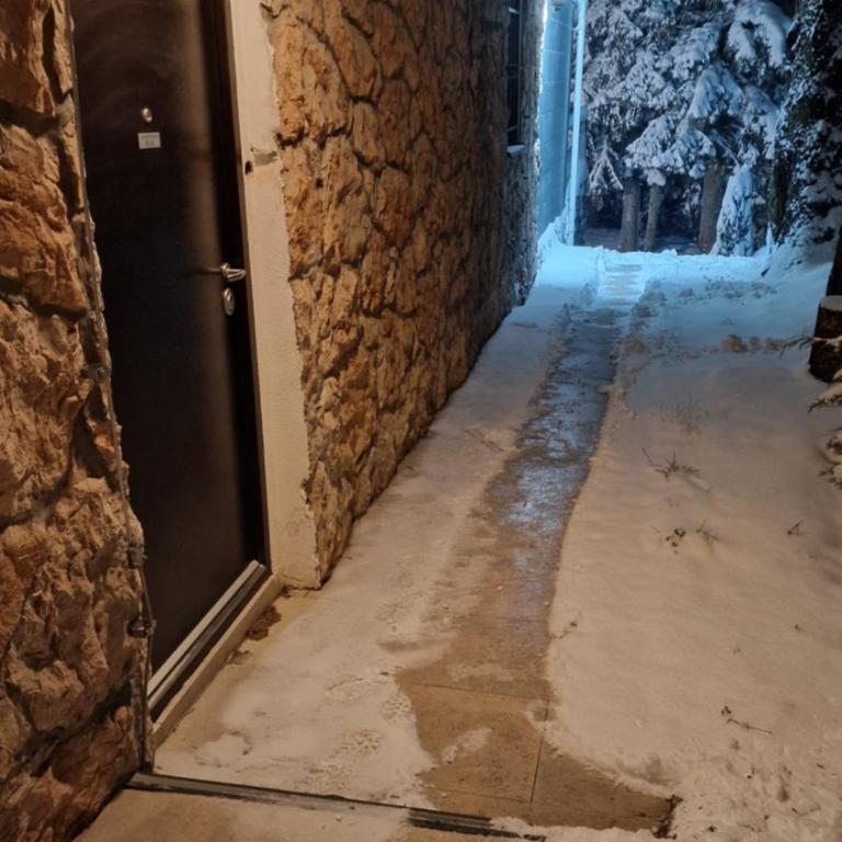 Apartmani natural Jahorina - Two-Bedroom Deluxe Apartment with Balcony - 11