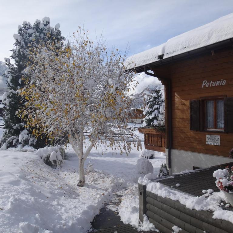 Chalet Petunia - Appartement 2 Chambres avec Terrasse - 68