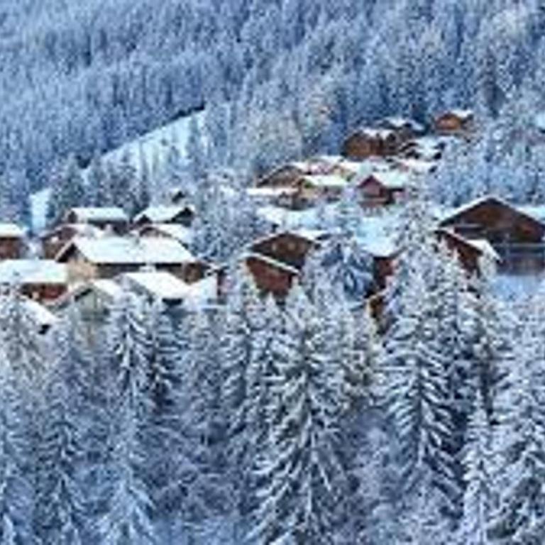 Chalet mitoyen traditionnel 12 personnes avec WiFi à La Tania - Chalet mit 3 Schlafzimmern - 17