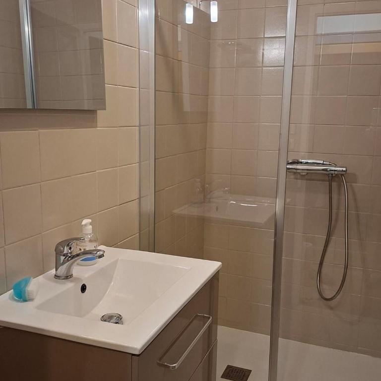 Maison familiale à Morillon, sauna et jardin - Appartement 2 Chambres - 21