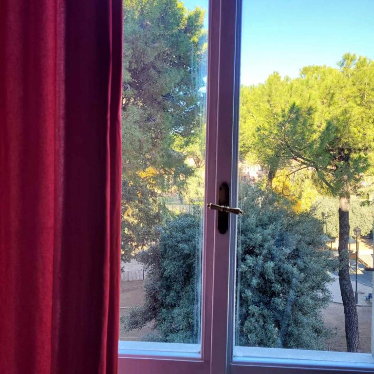 in the garden - Appartamento con 1 Camera da Letto - 21