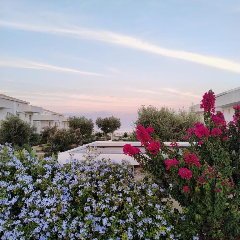 Seacily Villas - Casa con 2 Camere da Letto - 12