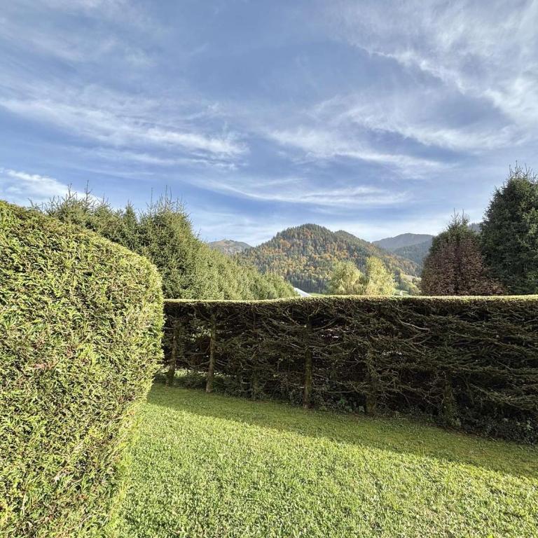 Studio alcôve avec terrasse sud, 4 personnes, animaux acceptés - Appartement 1 Chambre - 22