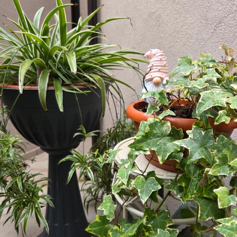Appartamento Teodorico Ravenna - Appartamento con 1 Camera da Letto - 30