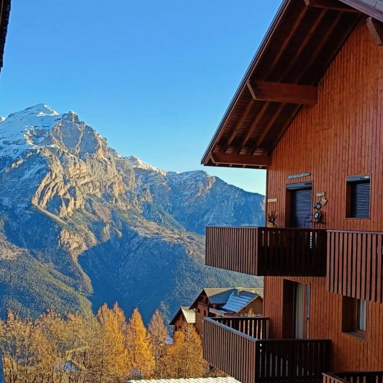 Appart 1800 Puy St Vincent aux pieds des pistes ! - Apartment mit 1 Schlafzimmer - 4