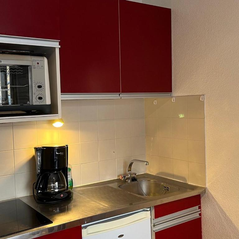 Studio cosy au centre de Samoëns, 4 pers, proche commodités - FR-1-629-65 - Estudio - 9