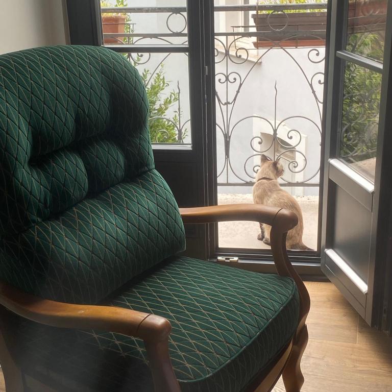 Villa Sérénité appartement au centre ville n 5 - Apartamento de 1 dormitorio - 6