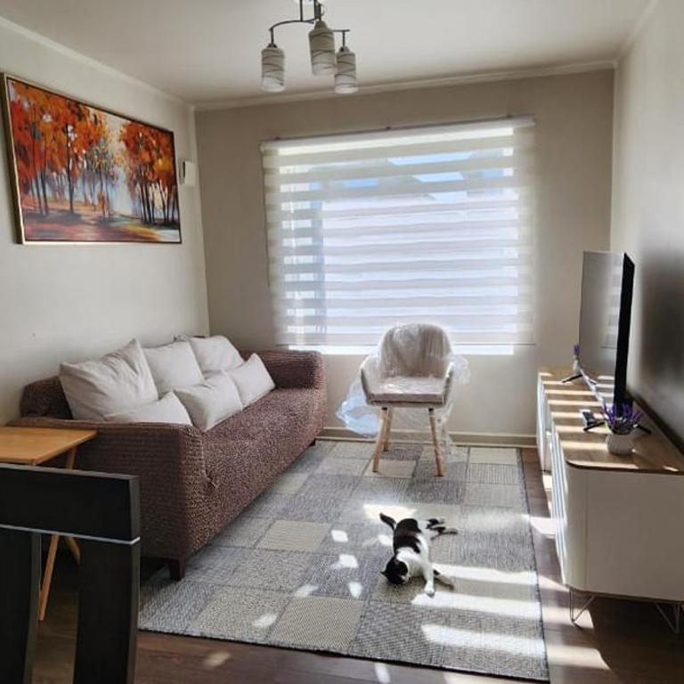 Bosquemar House, Puerto Montt - Casa de 3 dormitorios - 6