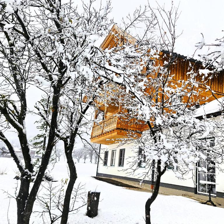 Lippingergut - "Sissis Sommerfrische" - Apartamento de 2 dormitorios - 49
