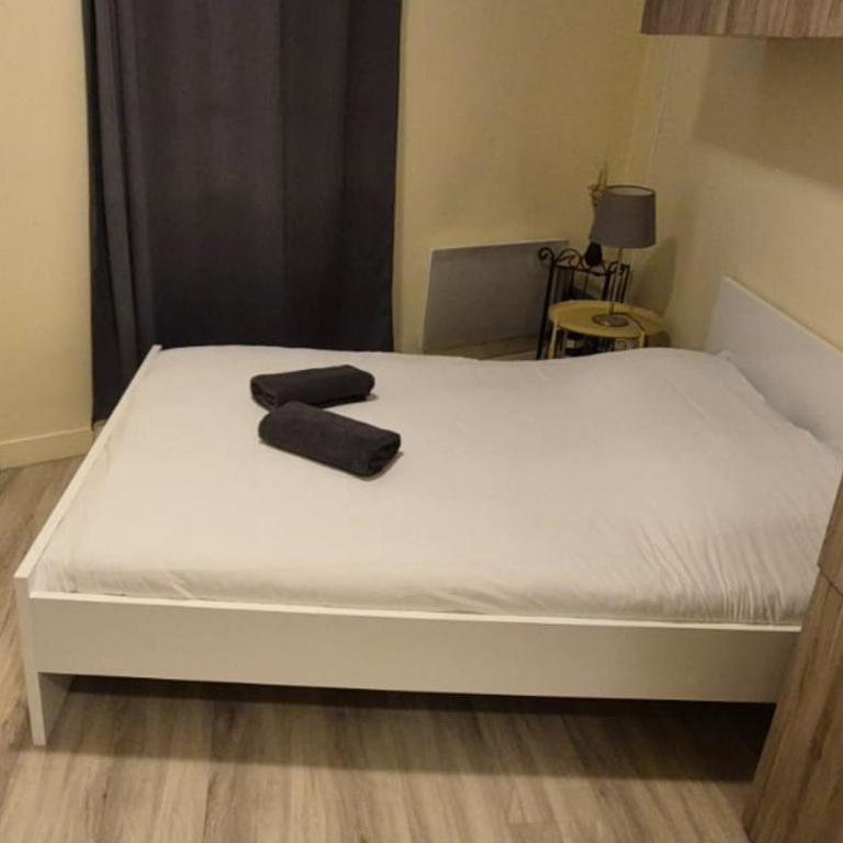 LE SPLENDID - Hypercentre - Proche Opéra & Parcs - Thermes - Appartement 1 Chambre - 34