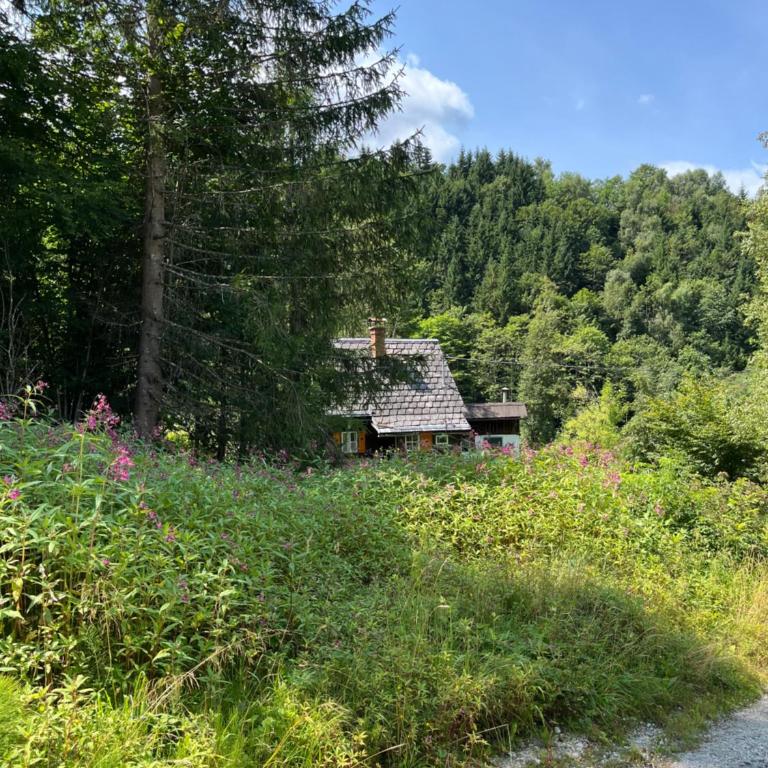 Ferienhütte Admont - Haus mit 2 Schlafzimmern - 4