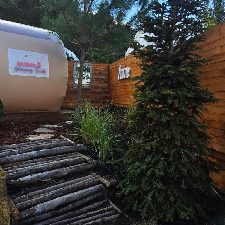 Bubble Glamping Sicily - Tenda - 16