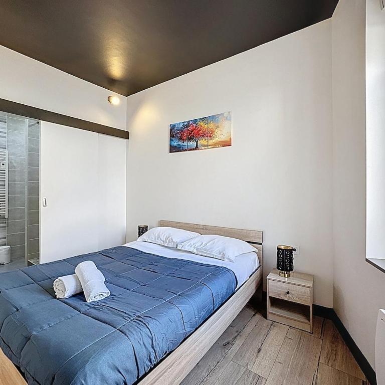 Appartement lumineux en rez-de-chaussée vers CHU - Appartamento con 1 Camera da Letto - 8