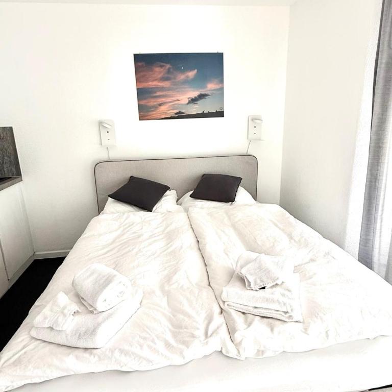 Monolocale in centro, Piscina e 400mt da Skilift - Apartment mit 1 Schlafzimmer - 3
