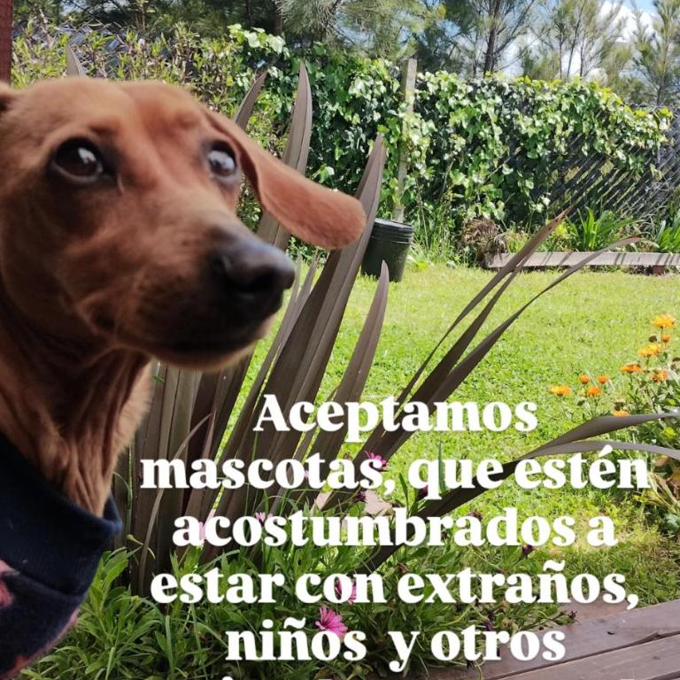 ELLA CON El MAR - One-Bedroom House - 6