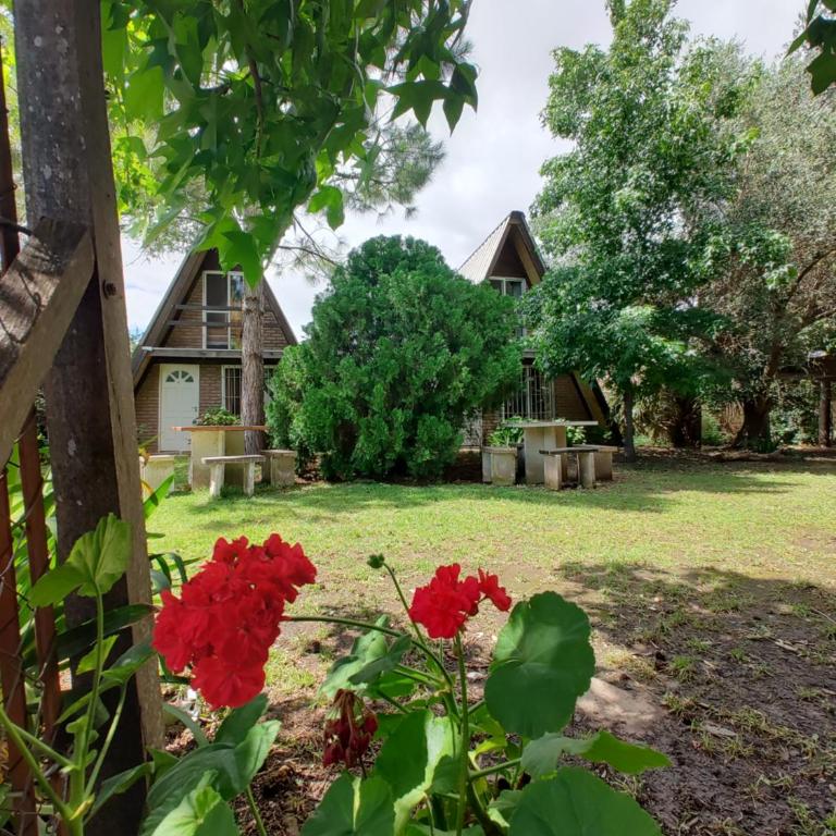 Cabañas Alpinas San Pedro - Bungalow Familiar - 3