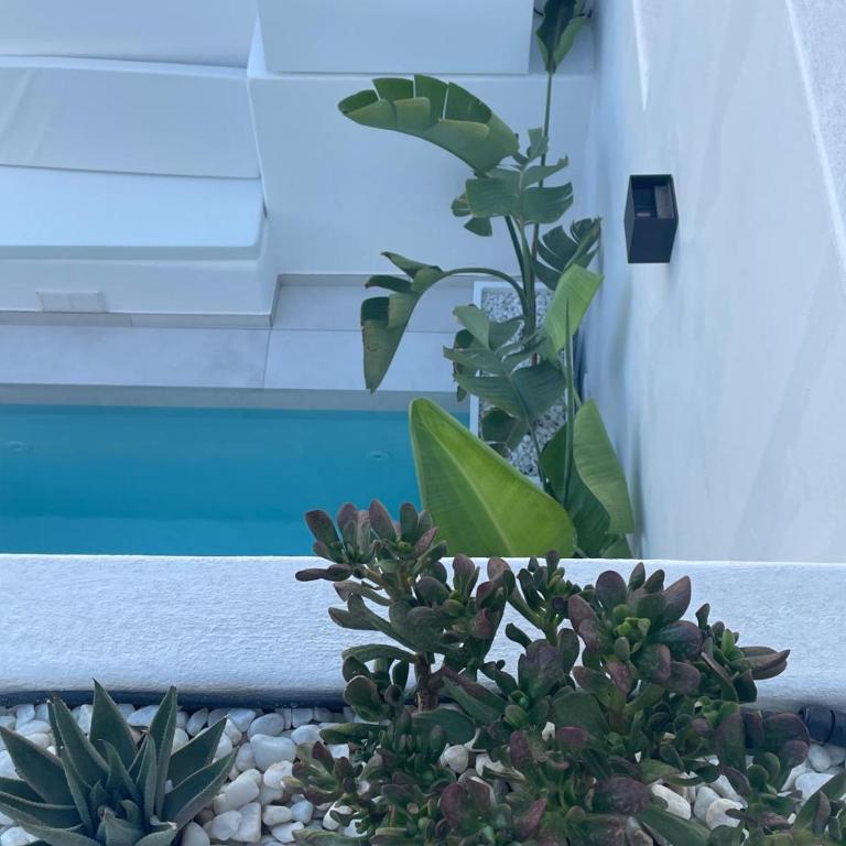 Casa Fariones - Villa with Private Pool - 47
