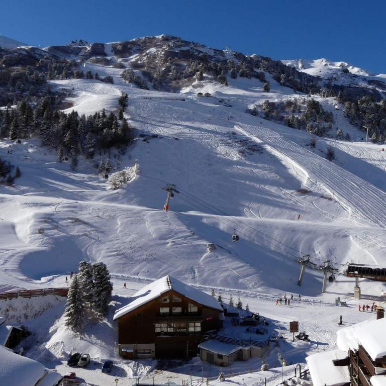 Appartement lumineux, idéal pour famille, skis aux pieds - Appartement 1 Chambre - 12