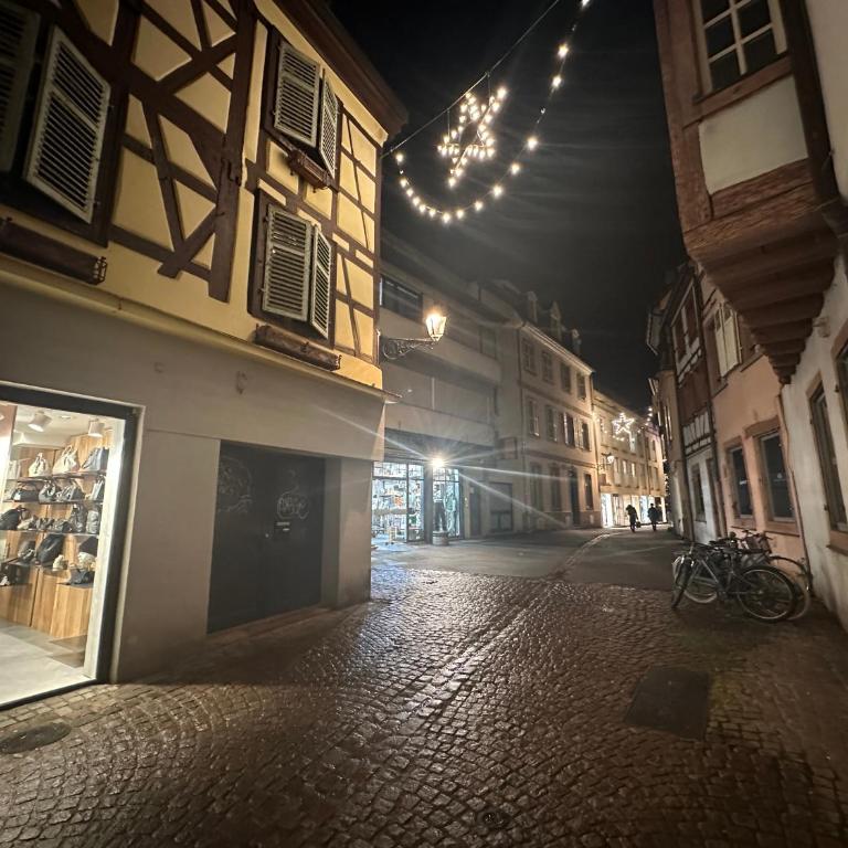 Djokovic Colmar - Apartment mit 1 Schlafzimmer - 15