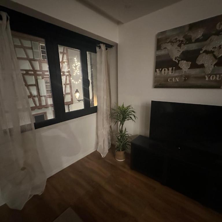 Djokovic Colmar - Apartment mit 1 Schlafzimmer - 16