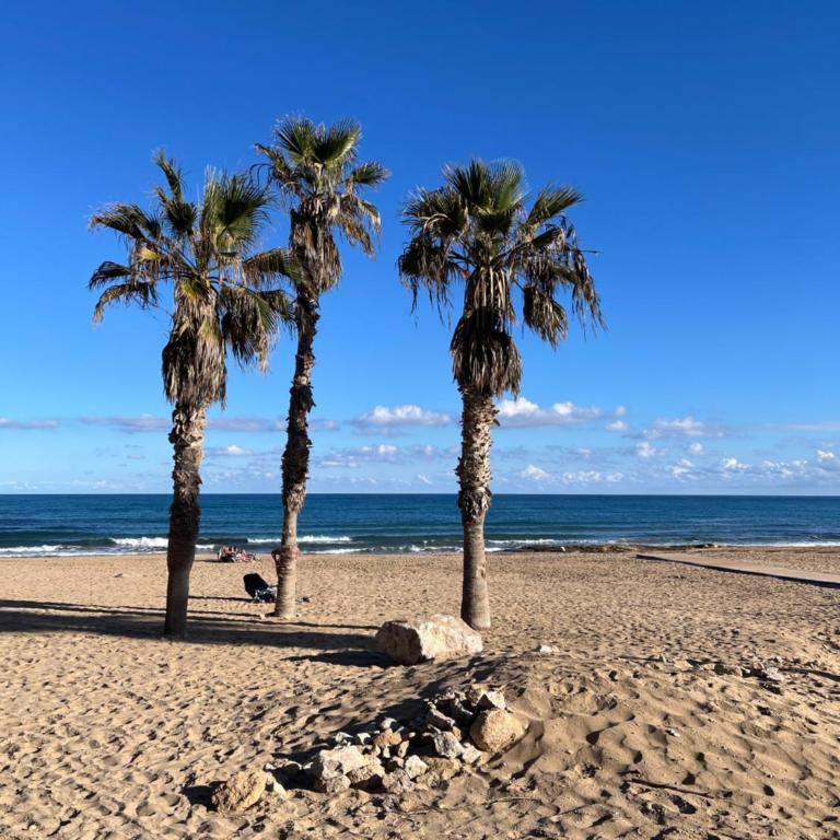 Apartamento Teresa La Mata - Apartamento de 2 dormitorios con balcón y vistas al mar - 13