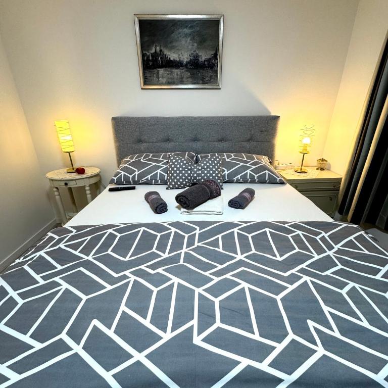 Hostel Pansion Lion - Standard Double Room with Shared Bathroom - 3